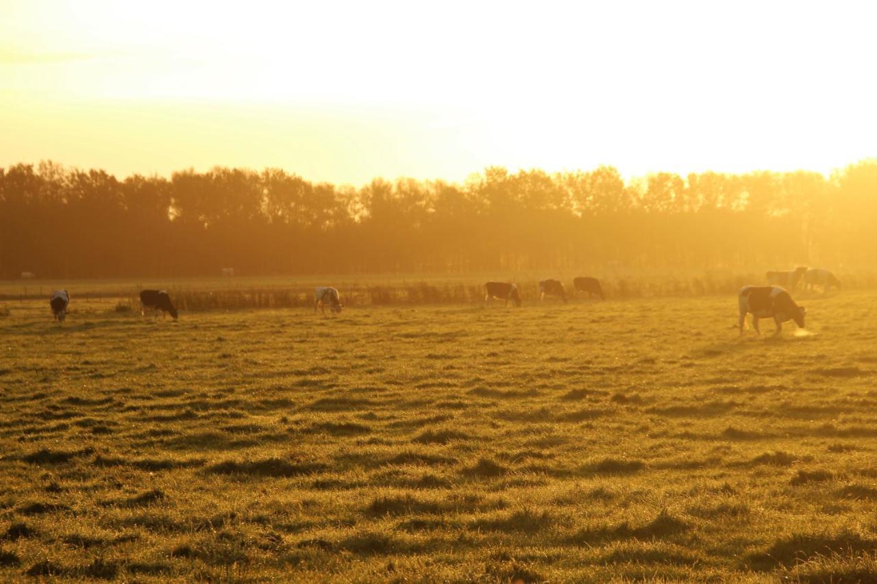 Boerderij * Drijber