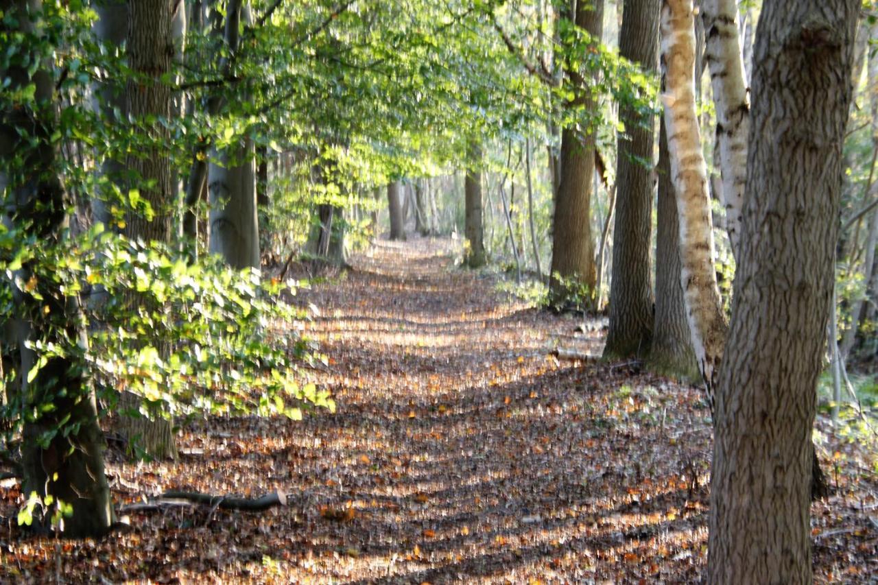 Boerderij Campsite Drijber