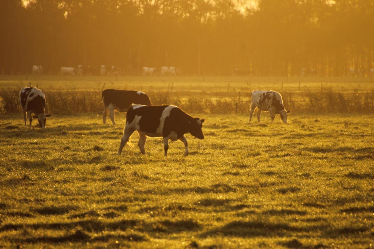Boerderij Drijber